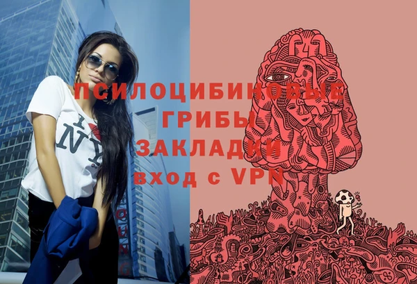 гашиш Заводоуковск